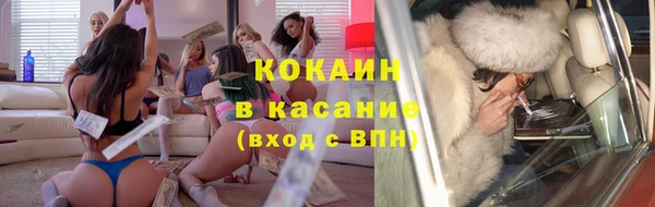 хмурый Арсеньев