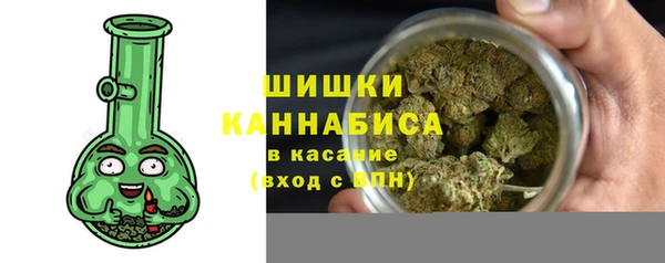 хмурый Арсеньев
