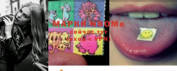 хмурый Арсеньев